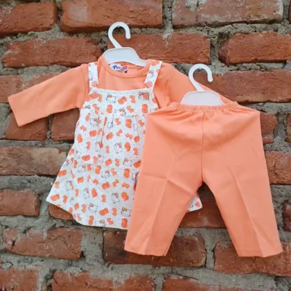Baby Girls Salmon T-Shirt With Frock Strip Cat Head Printed and Pant