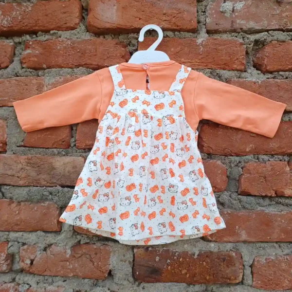 Baby Girls Salmon T-Shirt With Frock Strip Cat Head Printed and Pant2