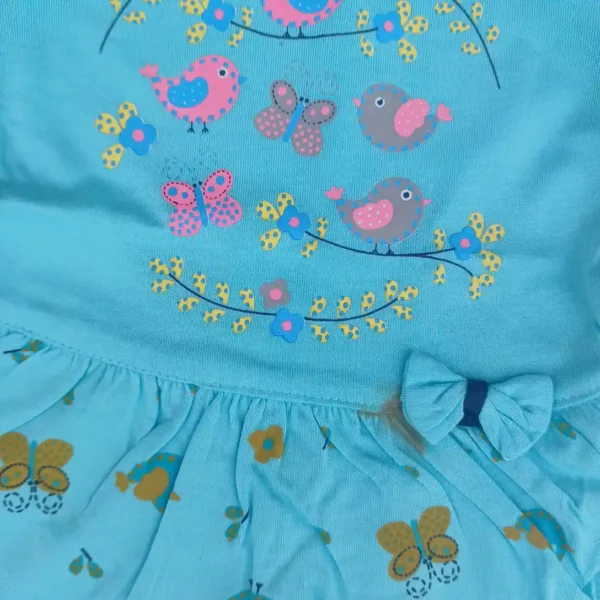 Girl Cotton Sky Color Bird and Butterfly Printed Frock Top and Pyjama3