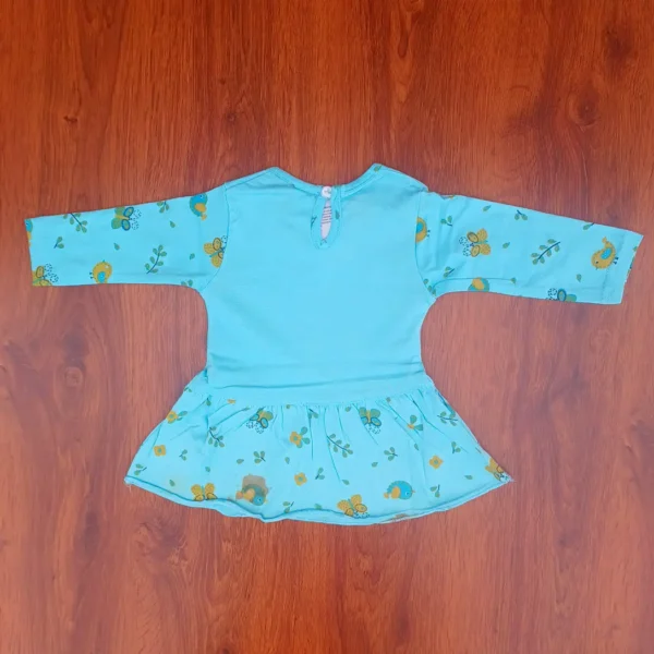 Girl Cotton Sky Color Bird and Butterfly Printed Frock Top and Pyjama4