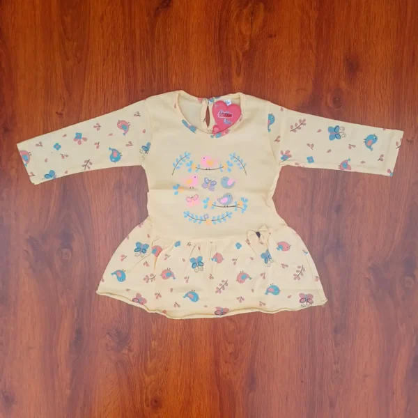 Girl Cotton Wheat Color Bird and Butterfly Printed Frock Top and Pyjama1
