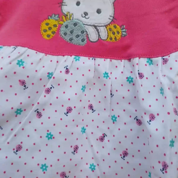 Girl Pink color Cat Embroidered Full Sleeves Top With Pyjama Soft Cotton