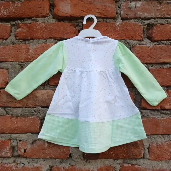 mint-soft-stretchable-flower-embroidery-dot-print-frock-and-pyjama2